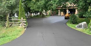 Best Driveway Snow Removal Preparation  in Encinal, TX